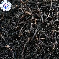Premium Export Grade Quality Clove Stem
