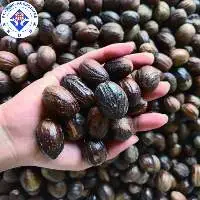Nutmeg