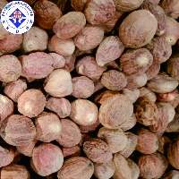 Premium Highest Export Quality Nutmeg SS