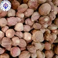 Premium Highest Export Quality Nutmeg SS