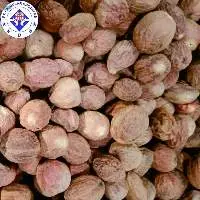 Nutmeg