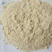 Vegetables Powder