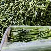 ladyfinger