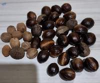 Nutmeg