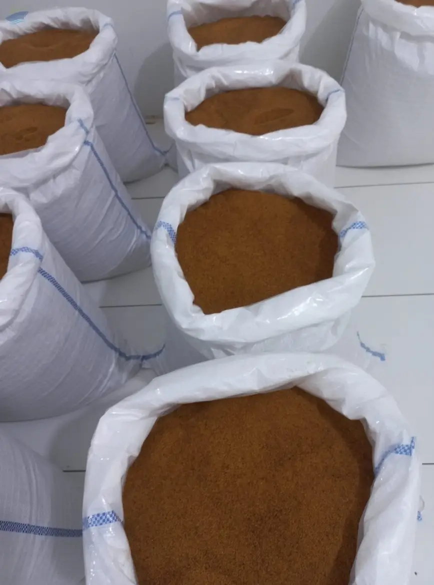 Palm Sugar
