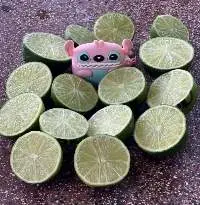 Fresh Lemon Seedless