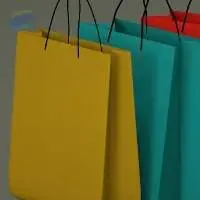 Paper Bag