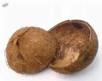 Coconut Shells