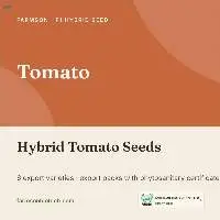 F1 Hybrid Tomato Seeds - Farmson