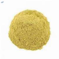 Coriander Powder
