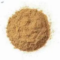 Cumin Powder