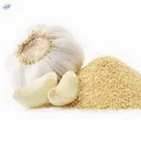 Garlic Powder