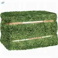 Alfalfa Hay