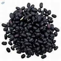 Black Kidney Beans
