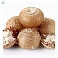 Betel Nuts