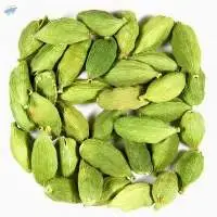 Cardamom