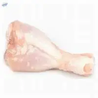 Chicken Drumstick