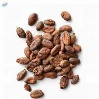 Cocoa Beans