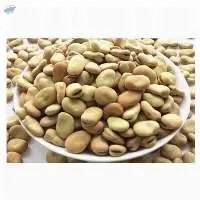 Fava Beans