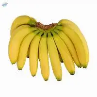 fresh bananas