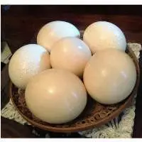 Fresh Ostrich Eggs