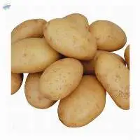 fresh potatoes
