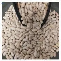 Kidney Beans White