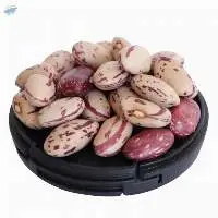 Light Speckled Kidney beans