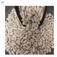 white Kidney beans