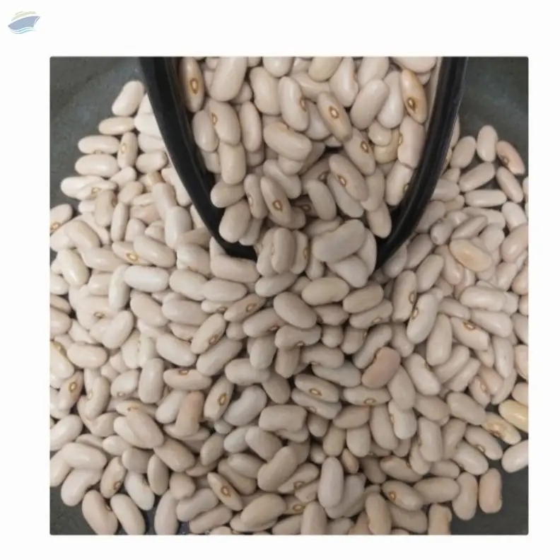 white Kidney beans