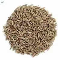 Cumin Seeds