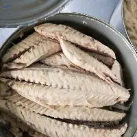 Canned Mackerel Fillet In Vegetable Oil 9000g