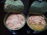 Canned Tuna Chunk