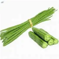 Drumsticks