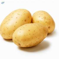 Potato