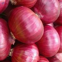 Onion
