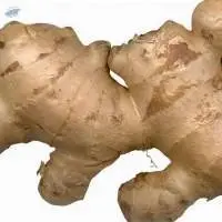 Fresh Ginger
