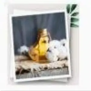 Cotton Seed Oil