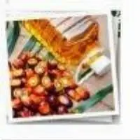 Palm Oil