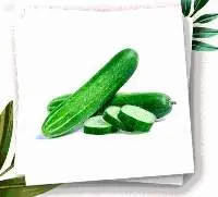 Cucumber