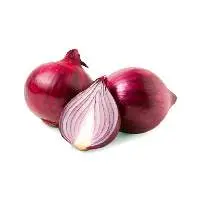Onion