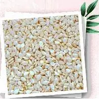 Sesame Seed