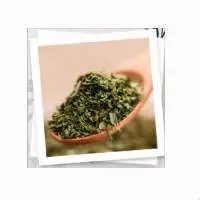 Oregano