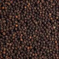 Pepper