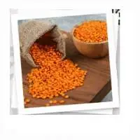 Masoor Dal