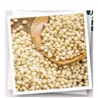 White Sorghum