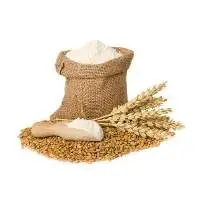 Wheat