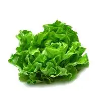 Lettuce