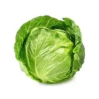 Cabbage