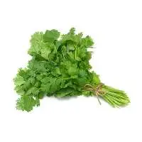 Green Coriander